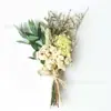 Mini Buquê Transfronteiriço Buquê de Flores Secas Frescas Lembrancinha de Festa Materiais Florais Artesanais DIY Materiais Decorativos