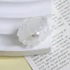 Concha de Pérola Colorida Galvanizada Cola Creme Capa de Celular Materiais Acessórios de Resina Atacado Acessórios para Joias DIY