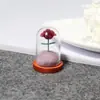 Collar de la Rosa del Principito, Varios Estilos de Collares de Rosa, Colgantes de Joyería con Cubierta de Cristal, Moderno