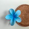 Europa y Estados Unidos clip de pelo de flor de huevo de colores transfronterizo clip de flor clip de tiburón de dama elegante accesorios para el cabello de vacaciones en la playa tocado