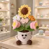 Venda Quente Transfronteiriça Vaso de Flores de Crochê Vaso de Flores Tricotado à Mão Enfeite de Presente de Planta em Vaso Cartoon