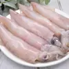 Lula Selvagem Fresca, Lebre do Mar, Lebre do Mar Fresca, Lula Clara, Lula de Uma Mordida, Fresco Congelado, Frete Grátis Sf Express