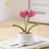 Corazón Tejido a Crochet Hecho a Mano, Planta en Maceta Pequeña Producto Terminado, Flor en Forma de Corazón Tejida con Hilo Decoración de Escritorio con Maceta, Regalo Creativo