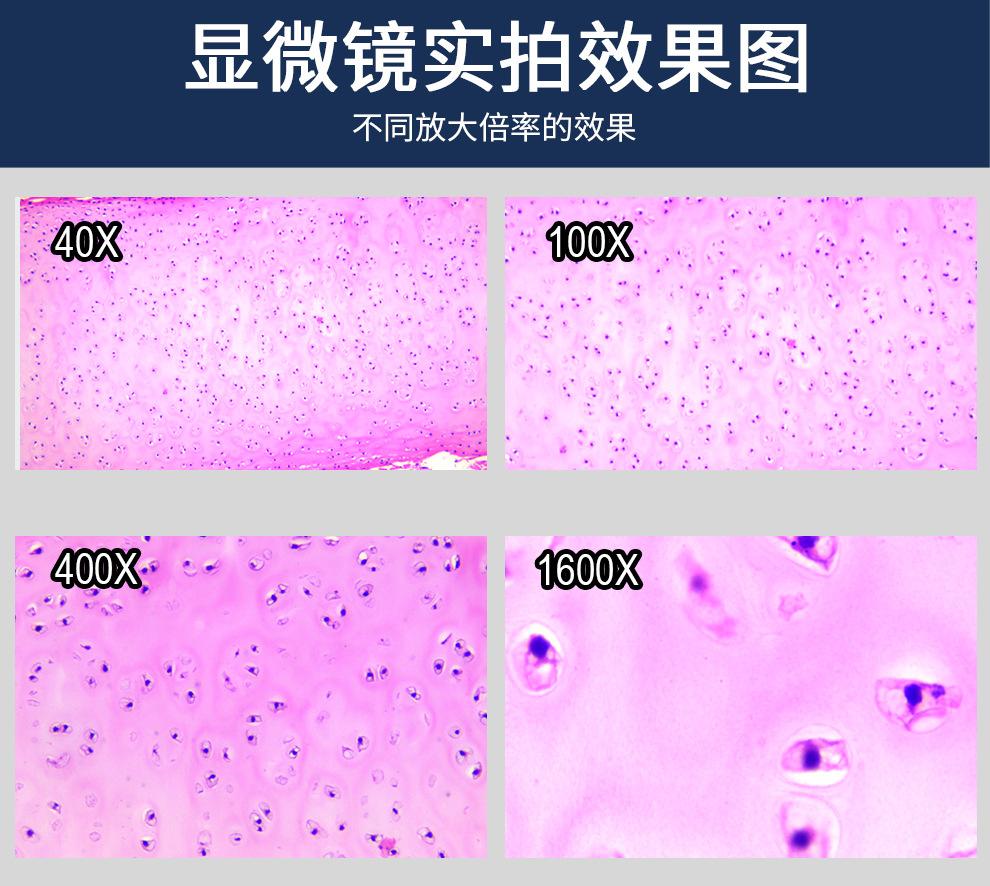 详情11.jpg