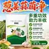 Cebolleta Jengibre Ajo Hongo Red Cebolleta Ajo Jengibre Inoculante Microbiano Especial Prevención y Control Agrícola de Enfermedades de Punta Quemada Hoja Amarilla Moho Gris