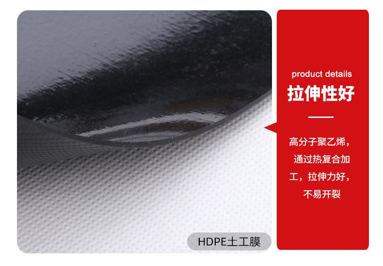 12土工膜-_05.jpg