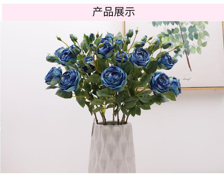 4头大茶花+6头金香玉_08.jpg