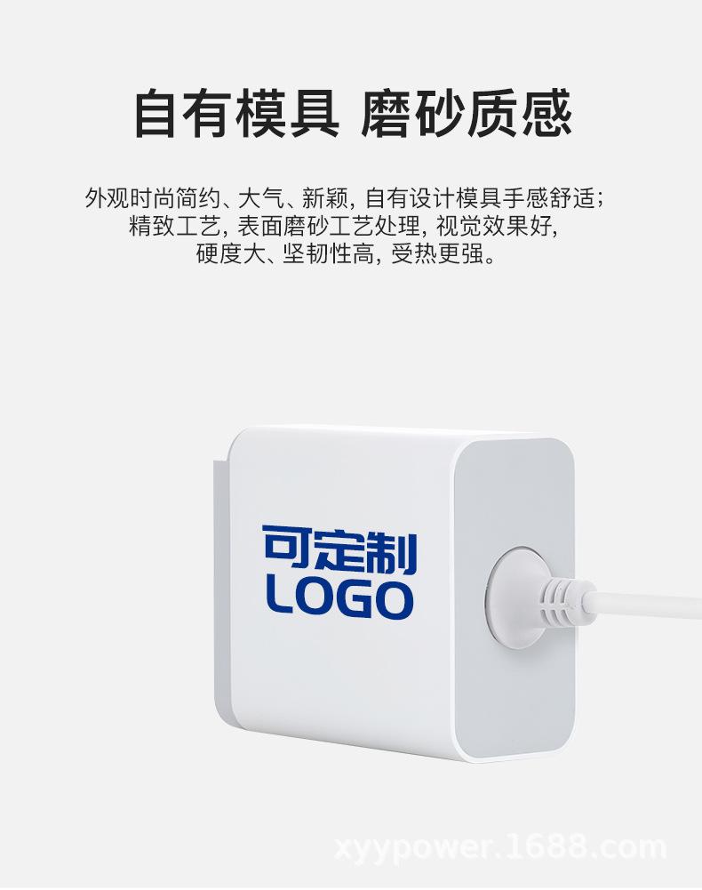 氮化镓PD65W可换头带线