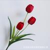 Flor de Simulación Transfronteriza Tulipán Hogar Sala de Estar Dormitorio Colocación de Jarrón Arreglo de Habitación de Boda Utilería para Fotos Flores Falsas