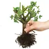 Flor Rosa Velho Tronco Velha Raiz Quatro Estações Vaso Interna Floração Contínua Grande Fragrante Varanda Ornamental Planta Verde Entrega