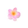 Presilha de Frangipani Colorida Doce de 4cm Venda Quente Transfronteiriça Acessório de Cabelo Doce Acessório de Cabeça Feminino Flor Acessórios de Cabelo Presilha de Cabelo Placa Atacado