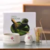 Juego de Cerámica para Matcha Herramientas de Té Tazón de Matcha Juego de Batidor de Matcha Tazón de Té Japonés Revendedor de Polvo de Matcha