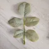 Folha de eucalipto simulação folha de rosa folha de dinheiro folha de peônia planta folha verde diy flor artificial folha acessórios atacado