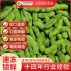Suministro de Edamame Cortado y Congelado Rápido, Venta al por Mayor de Edamame Verde Congelado Rápido, Edamame Verde Cortado y Congelado Rápido