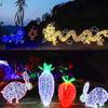Lámpara Larga de 5m con Forma de Dragón Luz Luminosa LED de Animal Marino Accesorios de Iluminación Decorativos de Moda para Restaurantes de Mariscos