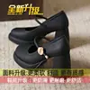 Zapatos de Cuero Mary Jane Bajos para Mujer, Adecuados para Faldas, Nuevo Modelo Primavera 2026, Estilo Francés Negro, Tacones Altos de Bloque Pequeño