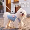 Ropa de otoño e invierno para mascotas: Chaleco tipo arnés de mezclilla, capa base para perros y gatos pequeños y medianos, venta al por mayor para razas como Bichón Frisé y Teddy