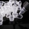 Copo de Cor para Tatuagem e Bordado 500 Copos de Pigmento Suprimentos Auxiliares para Tatuagem de Sobrancelha e Clareamento Labial Cosméticos para Tatuagem Consumíveis Venda de Fábrica