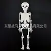 Producto Nuevo Transfronterizo Modelo de Ensamblaje de Esqueleto Humano de 90 cm DIY Estructura Simple Reconocimiento Ensamblaje de Articulaciones Modelo Juguete