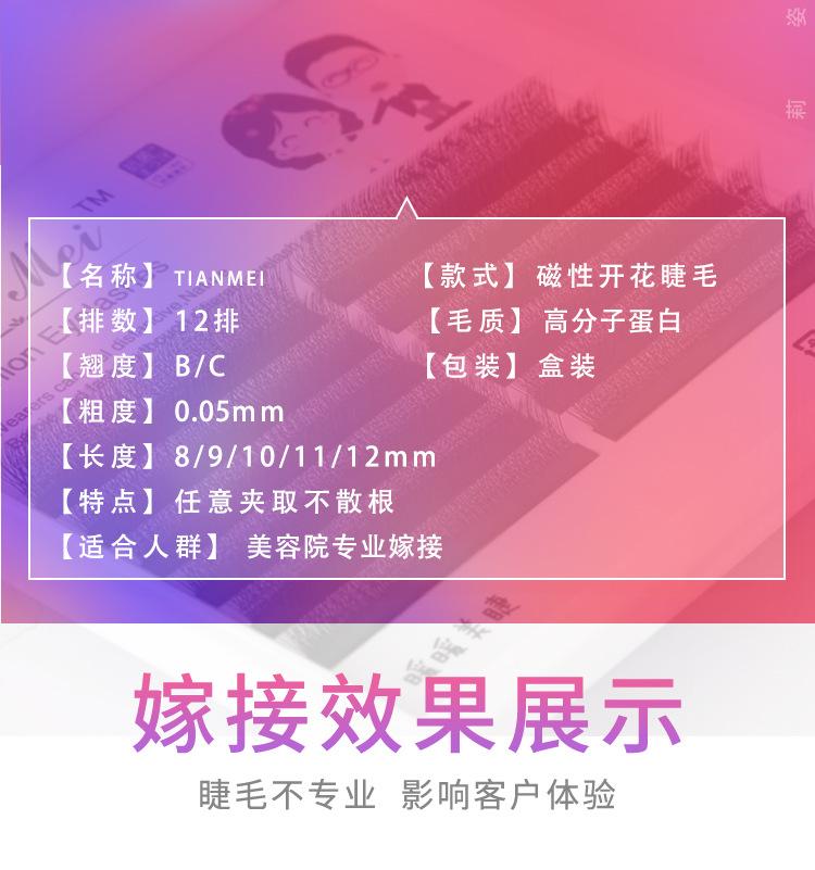 三叶草_08.jpg