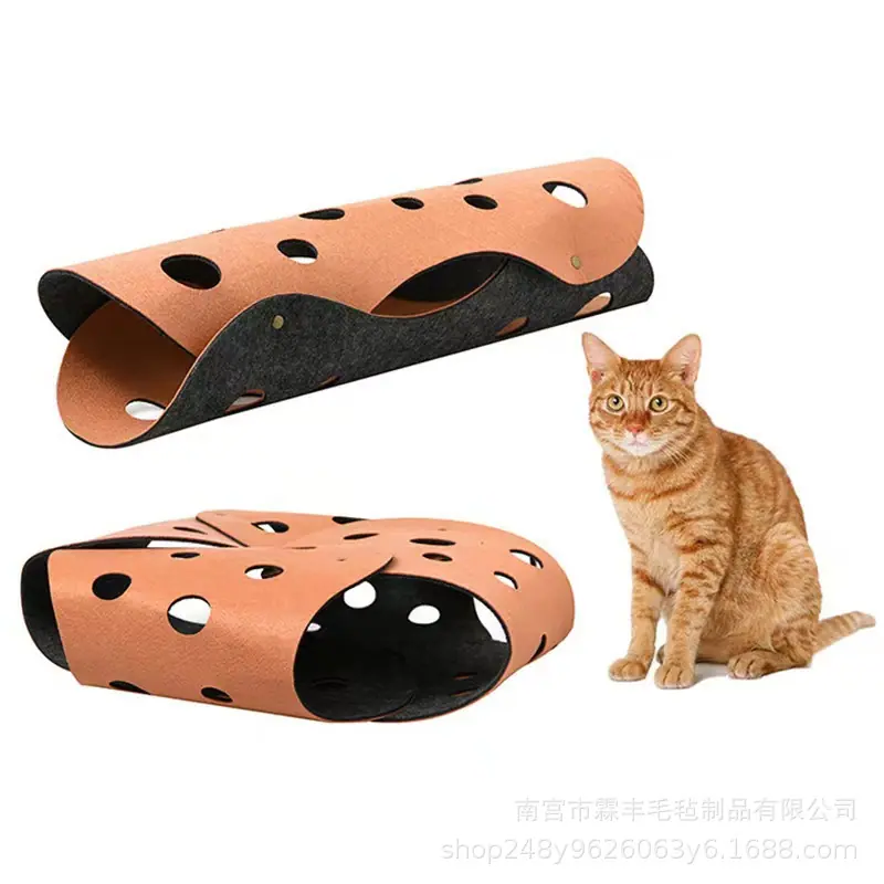 微信图片_20230919230524