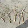 Ramas, Ramas Secas, Troncos de Árbol, Ramas Decorativas, Ramas Artificiales, Ramas Blancas, Ramas Muertas, Madera Muerta, Seco