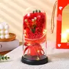Regalo del Día de San Valentín Chino Hilo de Perla Flor Eterna Rosa Cubierta de Vidrio Creativo Transfronterizo Regalo de Cumpleaños Adornos al por Mayor