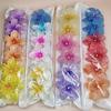 Nueva Pinza para el Cabello de Plumeria Colorida con Puntos de Diamante Agarrador de Flor Elegante de Gama Alta Accesorios para el Cabello de Dama Agarrador Lateral de Tiburón