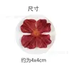 Nuevas Flores de Seda Simulada 4cm Color Europeo Pétalo Tocado Pasador Accesorios Pared de Flores Florales Decoración Hortensia