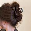 Pinza de Garra con Lazo de Gama Alta para Otoño Temprano para Mujer 2024 Nuevo Simple Elegante Pinza de Tiburón Parte Posterior de la Cabeza Disco para el Cabello Tocado