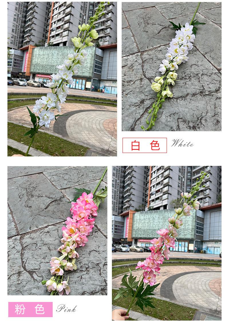 聚美-肯尼亚大飞燕草-详情_10.jpg