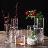 Botella de Vidrio de Borosilicato Alto para Plantas Hidropónicas para Interior, Escritorio, Maceta Pequeña, Cilindro Recto, Arte, Arreglo Floral, Jarrón, Musgo, Botella Ecológica