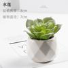 Bonsái de Planta Verde Nórdica Flor Falsa Decoración de Interior Decoración de Escritorio Biónica Suculenta Pequeña Planta en Maceta