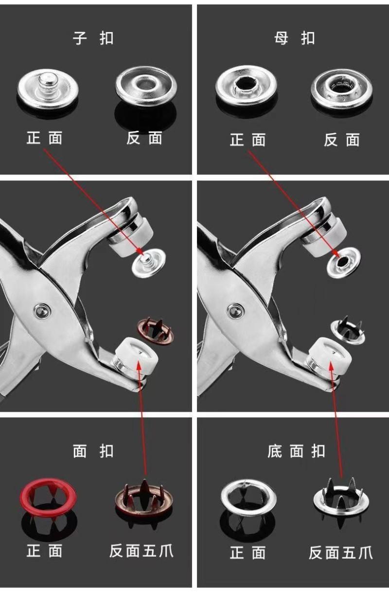 详情11