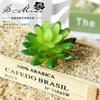 016 Suculenta Criativa DIY Design Suprimentos Plástico Flores Artificiais Acessórios Jinhua Fábrica Venda Direta Entrega de Flores