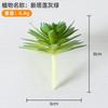Suculentas Simuladas Personalizadas, Decorações de Plantas Verdes, Pequenos Enfeites de Cactos para Interior de Escritório, Plantas em Vasos e Bonsai para Atacado