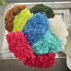 Flor Preservada Haste Única Hortênsia Anna Anna Folha Pequena Bella 40 Cores Personalizado Atacado Presente Dia dos Professores