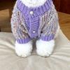 Suéter de punto de alta definición Bixin para perro Teddy York ropa de gato de verano cachorro pequeño oso ropa de otoño e invierno