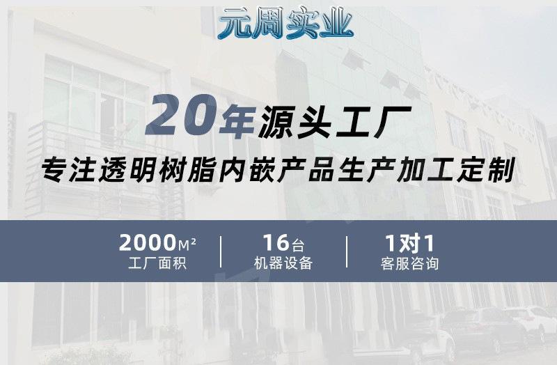 透明树脂工艺品 水晶胶标本样品展示工艺品 内埋真实种子纸镇展