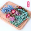Flores Secas, Flores Inmortales, Regalos Hechos a Mano para Niños en el Día del Maestro, Velas de Flores Flotantes, Decoración en Relieve, Paquete Creativo de Materiales DIY