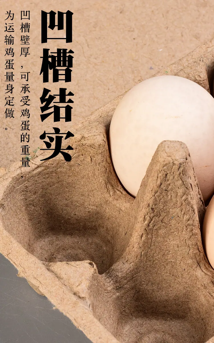 未标题-1-拷贝_08