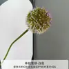 Decoración de Salón de Bodas de Bola de Cebolla Simulada Flor Artificial Atrezzo para Fotografía de Paisajismo Exterior Flor Artificial Bola de Diente de León