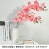 9 Orquídeas Phalaenopsis Artificiais com Toque de Alto Padrão e Realista, Flores Artificiais para Casamentos, Materiais DIY de Flores Artificiais, Phalaenopsis Branca