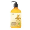 Shampoo Essência de Gengibre Shampoo de Aminoácidos Extrato de Planta Anti-Quebra Shampoo Controle de Oleosidade Personalizado OEM