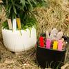 En stock al por mayor etiqueta de jardinería de una palabra PVC escribible flores y plantas logo carnoso tarjeta protectora solar