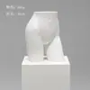 Accesorios de Modelo de Ropa Interior Torso Femenino Masculino Soportes de Exhibición de Ventana de Plástico Maniquí Apilamiento de Pecho De Zhu