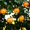 Colgante de Linterna de Caqui del Festival de Mediados de Otoño 2026 Nuevo Modelo Año del Caballo Buena Suerte Linterna Pequeña Brillante Portátil para Niños Decoración