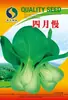 Fábrica de semillas de verduras de cuatro estaciones puesto de venta al por mayor de semillas de verduras cebolla de verdeo cilantro lechuga Shanghái
