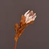 Flor de Rey seca artificial al por mayor vintage envejecida Flor de Rey individual Flor de Rey decorativa flor falsa arreglo floral