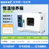 Incubadora de Temperatura Constante com Aquecimento Elétrico Laboratório Microbiologia Bactérias Germinação de Sementes Mofo Bioquímico Umidade Constante Display Digital Dedicado